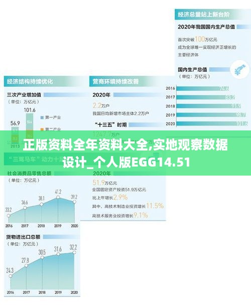 正版资料全年资料大全,实地观察数据设计_个人版EGG14.51