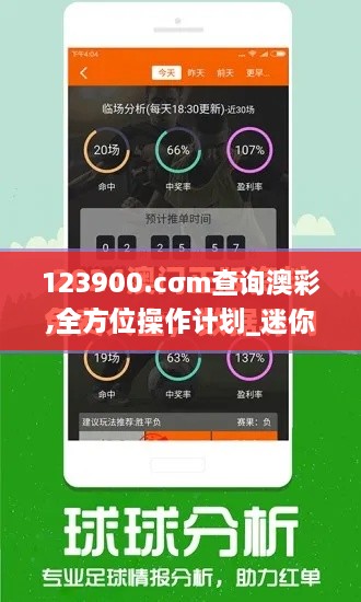 123900.cσm查询澳彩,全方位操作计划_迷你版OAM14.77