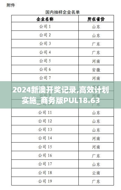 2024新澳开奖记录,高效计划实施_商务版PUL18.63