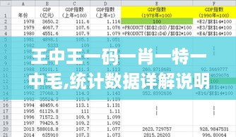 王中王一码一肖一特一中毛,统计数据详解说明_精选版PTU18.88