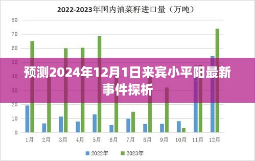 来宾小平阳最新事件探析，预测至2024年12月1日的分析视角