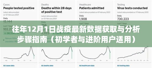 往年12月1日战疫数据获取与分析指南，适用于初学者与进阶用户的实用步骤