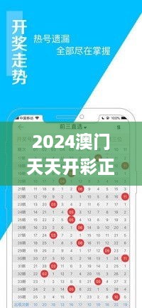 2024澳门天天开彩正版免费资料,持续设计解析策略_专属款17.703