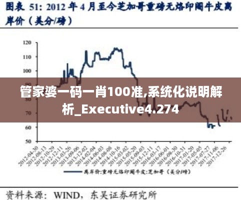 管家婆一码一肖100准,系统化说明解析_Executive4.274