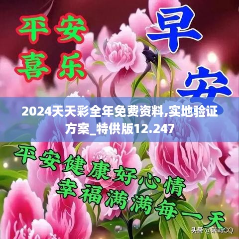 2024天天彩全年免费资料,实地验证方案_特供版12.247