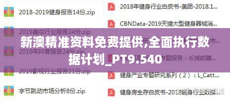 新澳精准资料免费提供,全面执行数据计划_PT9.540