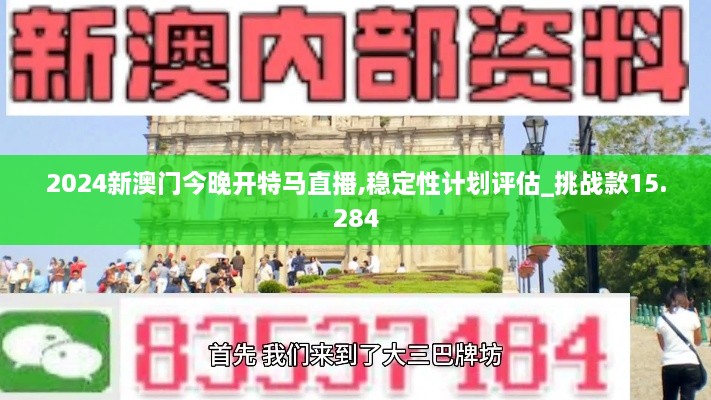 2024新澳门今晚开特马直播,稳定性计划评估_挑战款15.284