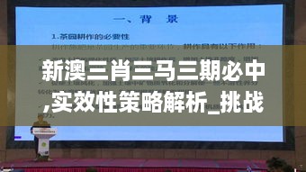 新澳三肖三马三期必中,实效性策略解析_挑战款14.167