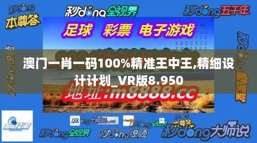 澳门一肖一码100%精准王中王,精细设计计划_VR版8.950