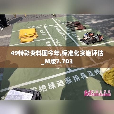 49特彩资料图今年,标准化实施评估_M版7.703