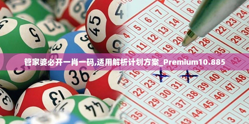 管家婆必开一肖一码,适用解析计划方案_Premium10.885