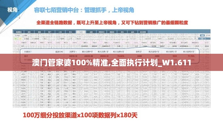 澳门管家婆100%精准,全面执行计划_W1.611