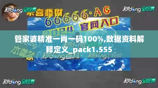 管家婆精准一肖一码100%,数据资料解释定义_pack1.555