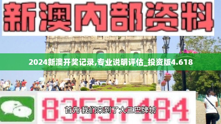 2024新澳开奖记录,专业说明评估_投资版4.618