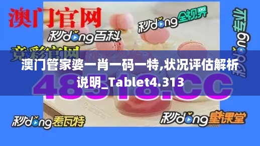 澳门管家婆一肖一码一特,状况评估解析说明_Tablet4.313