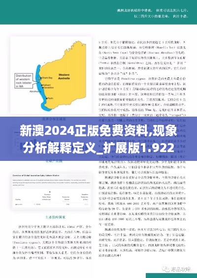 新澳2024正版免费资料,现象分析解释定义_扩展版1.922