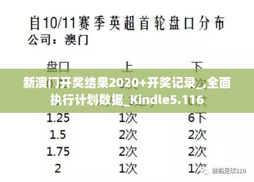 新澳门开奖结果2020+开奖记录_,全面执行计划数据_Kindle5.116