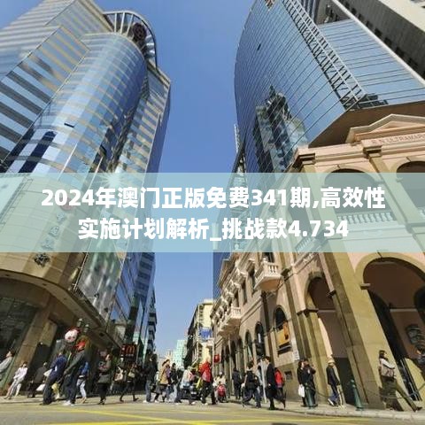 2024年澳门正版免费341期,高效性实施计划解析_挑战款4.734