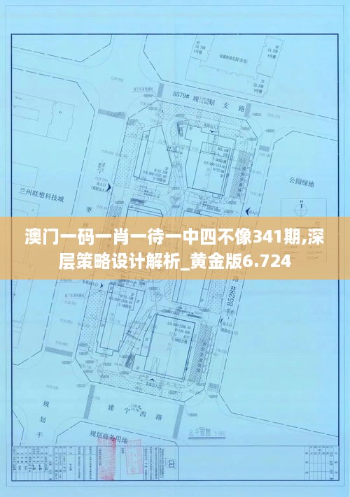 澳门一码一肖一待一中四不像341期,深层策略设计解析_黄金版6.724