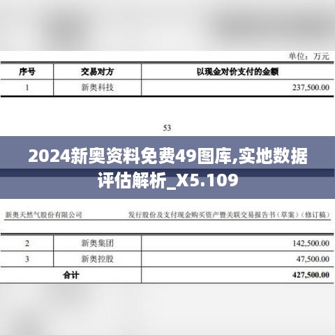 2024新奥资料免费49图库,实地数据评估解析_X5.109