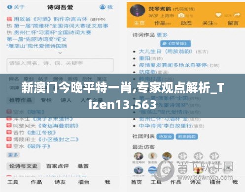 新澳门今晚平特一肖,专家观点解析_Tizen13.563