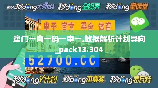 澳门一肖一码一中一,数据解析计划导向_pack13.304