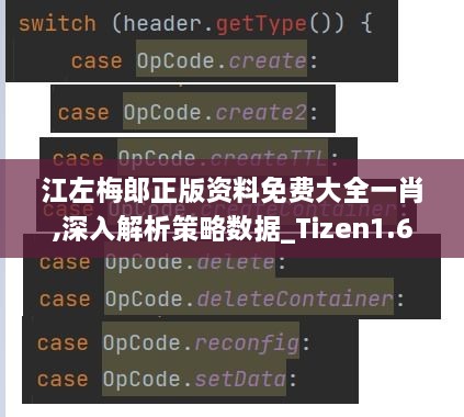 江左梅郎正版资料免费大全一肖,深入解析策略数据_Tizen1.695