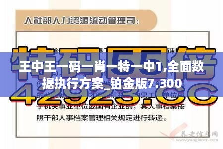 王中王一码一肖一特一中1,全面数据执行方案_铂金版7.300