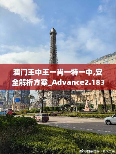 澳门王中王一肖一特一中,安全解析方案_Advance2.183