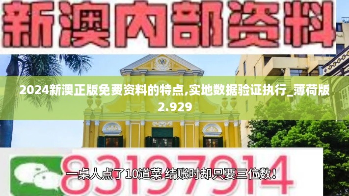 2024新澳正版免费资料的特点,实地数据验证执行_薄荷版2.929