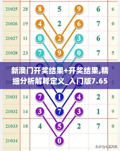 新澳门开奖结果+开奖结果,精细分析解释定义_入门版7.650