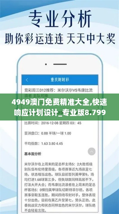 4949澳门免费精准大全,快速响应计划设计_专业版8.799