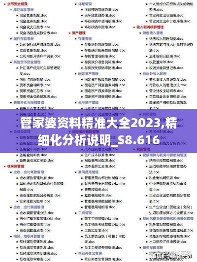 管家婆资料精准大全2023,精细化分析说明_S8.616