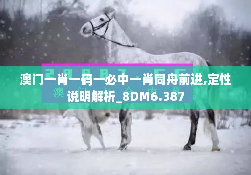 澳门一肖一码一必中一肖同舟前进,定性说明解析_8DM6.387