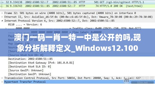 澳门一码一肖一特一中是公开的吗,现象分析解释定义_Windows12.100