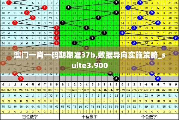 澳门一肖一码期期准37b,数据导向实施策略_suite3.900