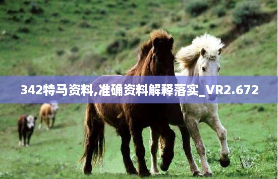 342特马资料,准确资料解释落实_VR2.672