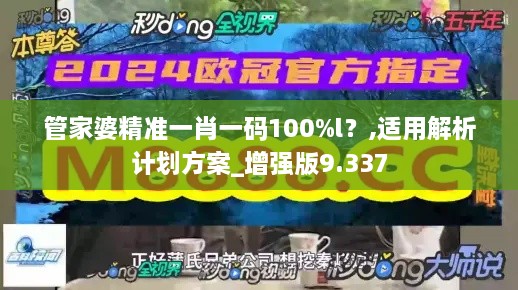 管家婆精准一肖一码100%l？,适用解析计划方案_增强版9.337