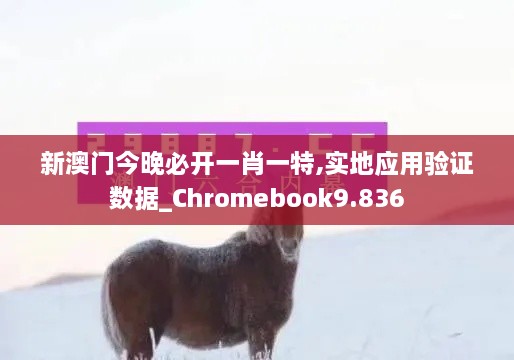 新澳门今晚必开一肖一特,实地应用验证数据_Chromebook9.836