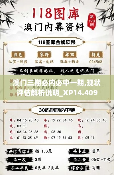 澳门三期必内必中一期,现状评估解析说明_XP14.409