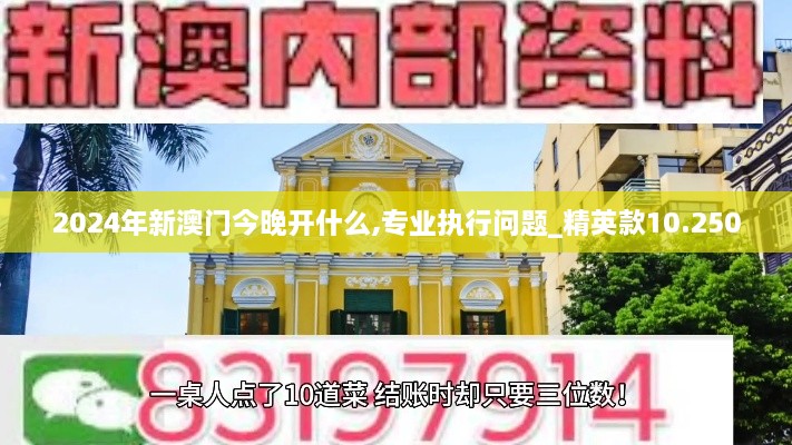 2024年新澳门今晚开什么,专业执行问题_精英款10.250