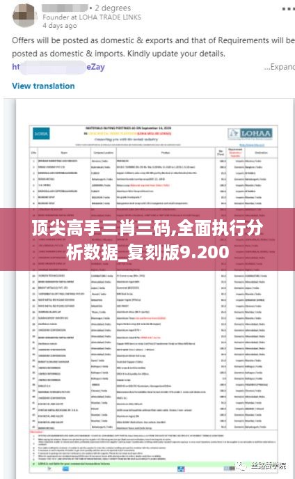 顶尖高手三肖三码,全面执行分析数据_复刻版9.200