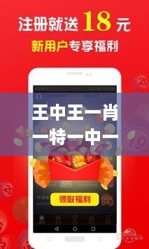 王中王一肖一特一中一,快捷问题解决方案_钻石版18.278