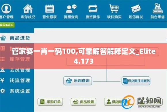 管家婆一肖一码100,可靠解答解释定义_Elite4.173