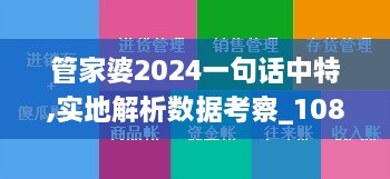 管家婆2024一句话中特,实地解析数据考察_1080p2.597