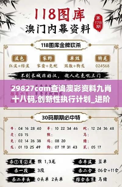 29827cσm查询澳彩资料九肖十八码,创新性执行计划_进阶版9.741