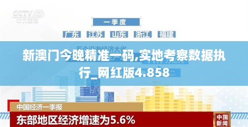 新澳门今晚精准一码,实地考察数据执行_网红版4.858