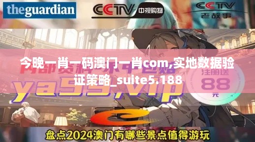 今晚一肖一码澳门一肖com,实地数据验证策略_suite5.188