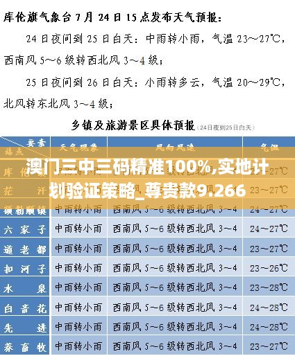 澳门三中三码精准100%,实地计划验证策略_尊贵款9.266