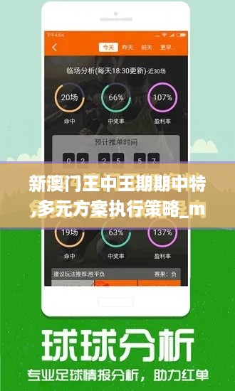 新澳门王中王期期中特,多元方案执行策略_mShop6.482